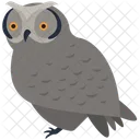 Owl  Icon