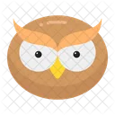 Owl  Icon