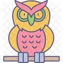 Owl Bird Animal Icon