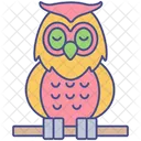 Owl Bird Animal Icon