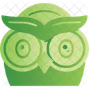 Owl Face Owl Night Icon