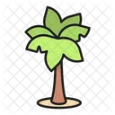 Palm Tree  Icon