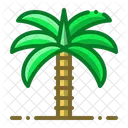 Palm Tree  Icon