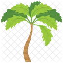 Coconut Beach Date Icon