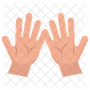 Palmistry Fortune Telling Fortune Lines Icon