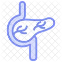 Pancreas Duotone Line Icon Icon