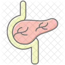 Pancreas Lineal Color Icon Icon