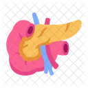 Pancreas Icono