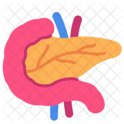 Pancreas  Icon