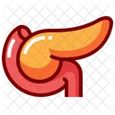 Pancreas  Icon