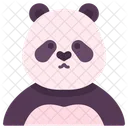 Panda Bear Animal Icon