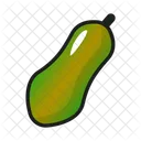 Fruit Nature Papaya Icon