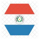 Paraguay Nacional Pais Icono