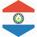 Paraguay Flag World Icon