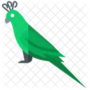 Parrot Exotic Bird Tropical Parrot Icon