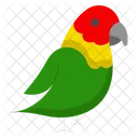 Parrot Bird Pet Icon