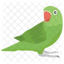 Parrot Cockatoo Macaw Icon