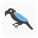 Parrot Animal Wildlife Icon