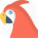 Parrot Bird Head Icon