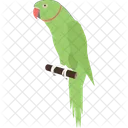 Parrot Pet Bird Icon