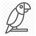 Parrot Bird Pet Icon