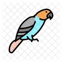 Parrot Bird Pet Icon