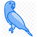 Parrot  Icon