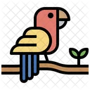 Parrot  Icon