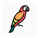 Parrot Tropical Bird Icon