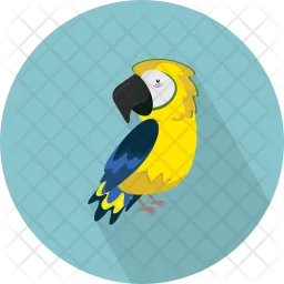 Parrot  Icon