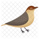 Passeridae Sparrow Avian Icon