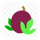 Passion Fruit Fresh Vegetable Icon