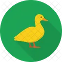 Pato  Icono