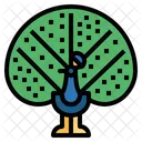 Pavo real  Icono