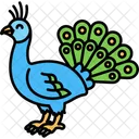 Peacock Bird Animal Icon