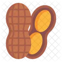 Peanut  Icon