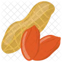 Peanuts Groundnut Goober Icon