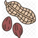 Peanuts Groundnut Seedpod Icon