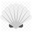 Pearl Shell  Icon