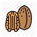 Pecan  Icon