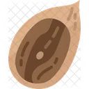 Pecans Nuts Snack Icon