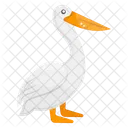 Pelican Pelecanus Sea Creature Icon