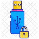 Pendrive cifrado  Icono