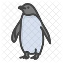 Penguin  Icon