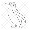 Penguin  Icon