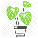 Peperomia Houseplant Plant Icon