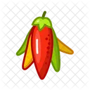 Pepper Food Vegetable Icon