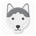 Husky Siberiano Perro Perro Icono