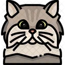 Persian Cat Cat Face Icon