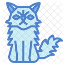 Persian Cat  Icon